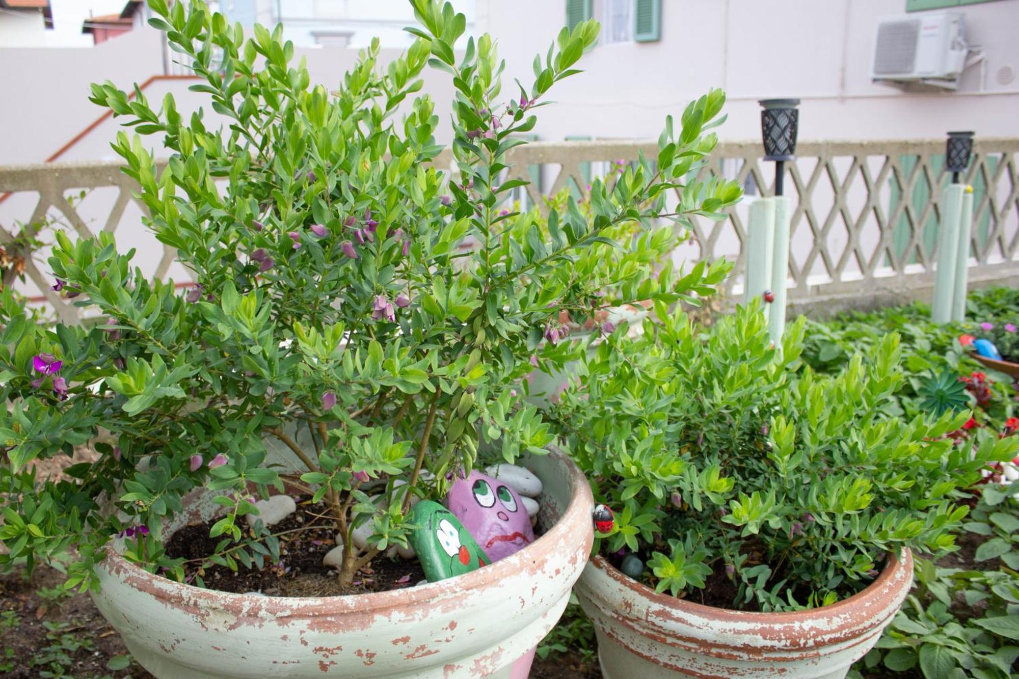 La Coccinella Apartment Marina Di Pisa Luaran gambar